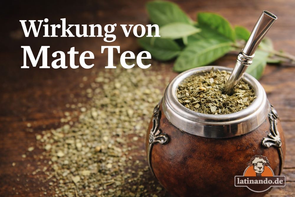wirkung-mate-tee-latinando