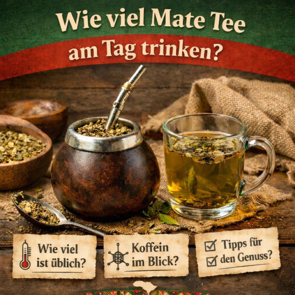 wie-viel-mate-tee-am-tag