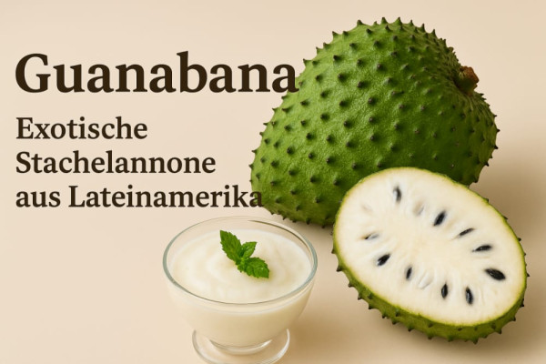 guanabana-stachelanone-latinando
