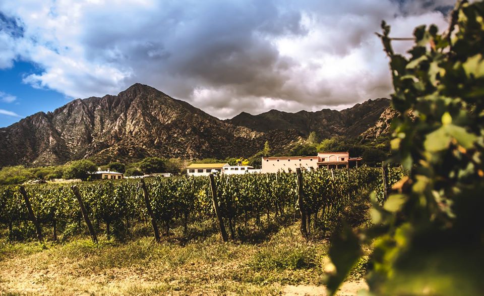 finca-las-nubes-cafayate