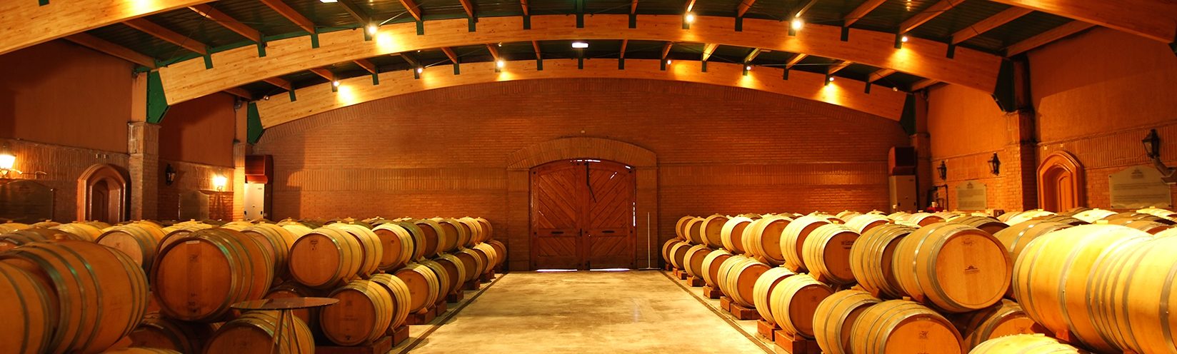 bodega-casa-del-bosque