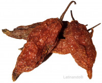 Preview: Gelber Chili - Getrocknete Chilischoten Preview: Gelber Chili - Getrocknete Chilischoten