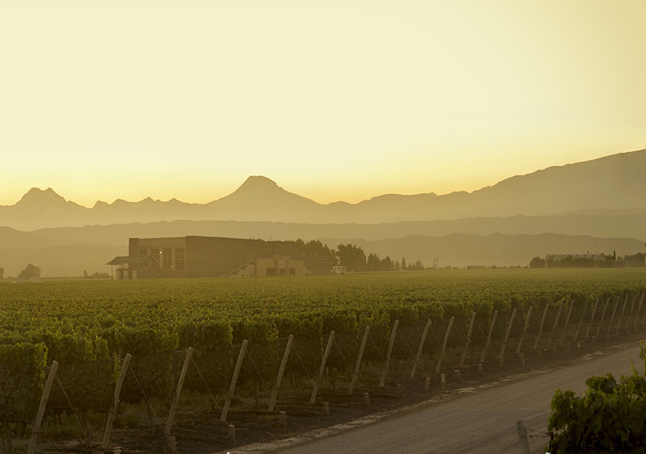 bodega-septima-mendoza-anden-argentinien